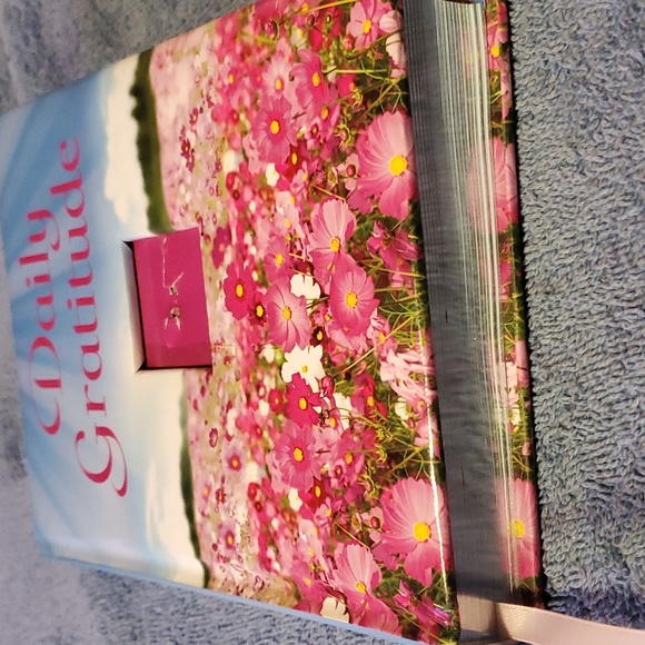 Daily gratitude - Picture 5 of 7